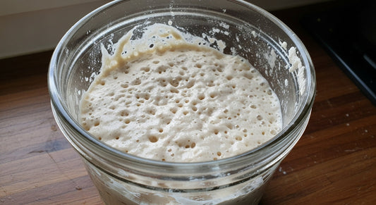 No More Flat Loaves: The Right Way to Care for Your Sourdough Starter