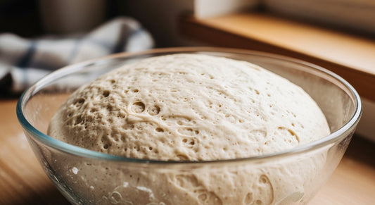 bread dough fermentation